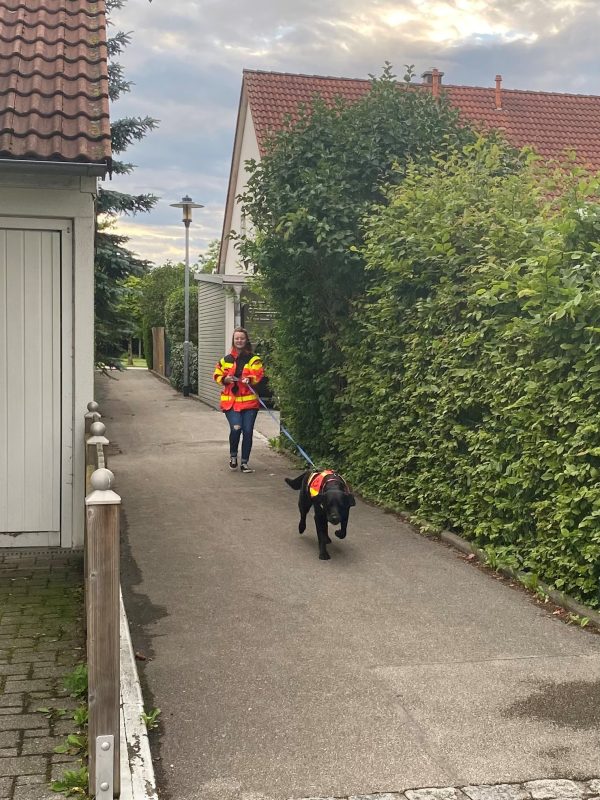 Rettungshunde 5SL