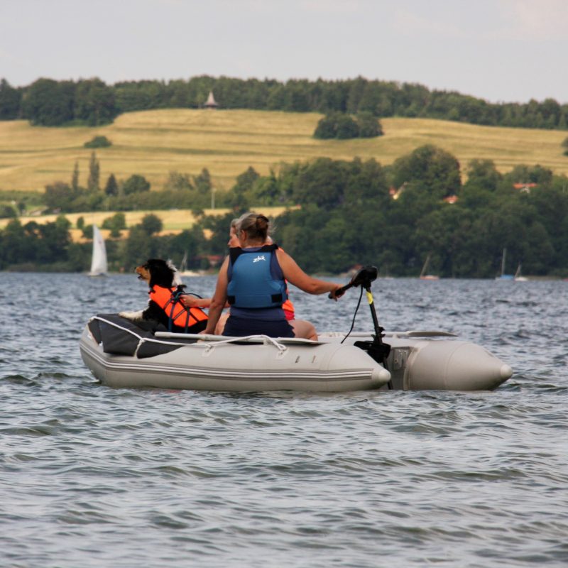 Rettungshunde 5SL