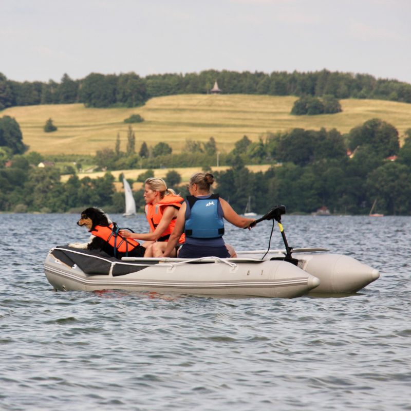 Rettungshunde 5SL