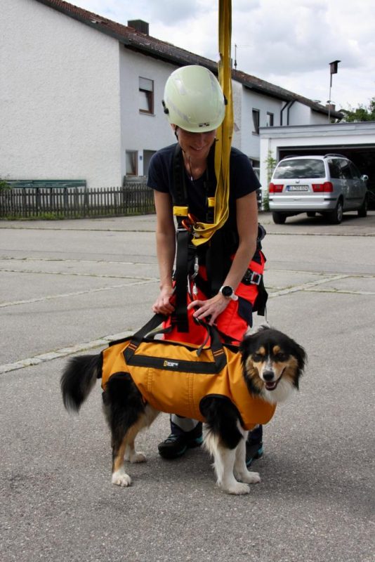 Rettungshunde 5SL